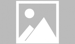 蓝莓视频,探索视觉盛宴的奇幻之旅