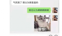 娱乐圈吃瓜年底冲业绩,吃瓜狂欢，明星业绩大揭秘！