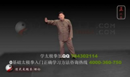 陈氏太极拳24式教学视频,入门必看，掌握经典套路